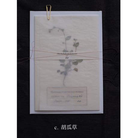 Letterset  大　White