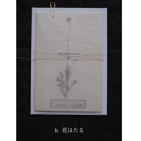 Letterset  大　White