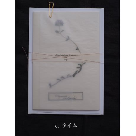 Letterset  大　White
