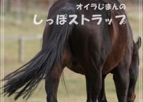オイラ（ローレルアウェイク）自慢のしっぽストラップ