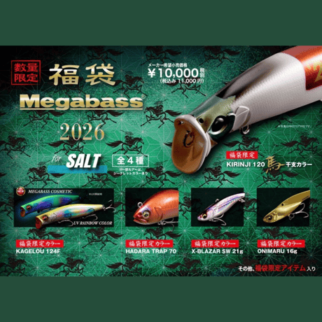 CATEGORY ルアー | ますへい STORE