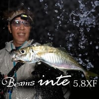 Fishman Beams inte5.8XF