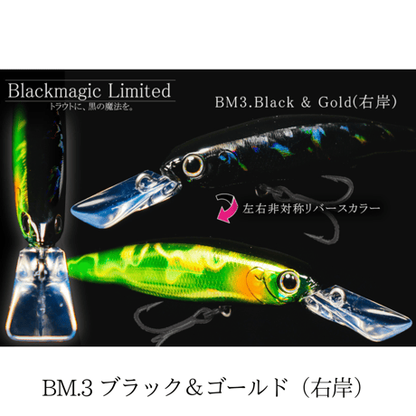タックルハウス BITSTREAM 限定色【Black Magic Limited Color】