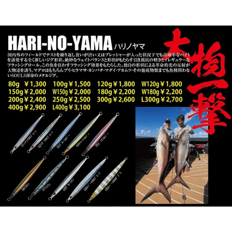 ソウルズ　ハリノヤマ　W150g