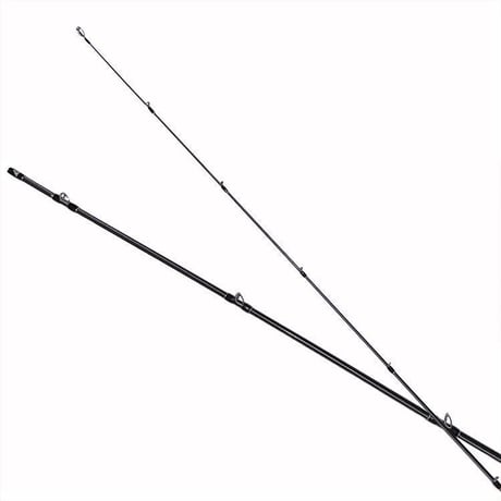 Fishman Beams inte5.8XF