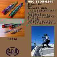 フラッシュユニオン SeaRevo バブルアーティスト 220 | ますへい