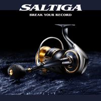 24 セルテート カスタムボディ【限定生産】 | ますへい STORE