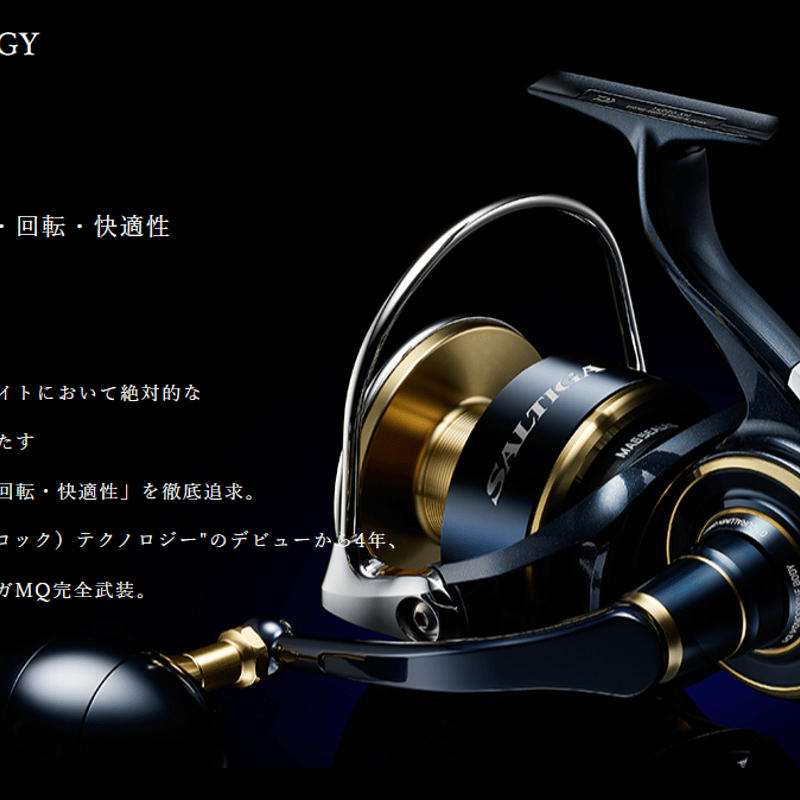 ダイワ 20ソルティガ 20000H ハイスピード ダイワ20ソルティガ20000H