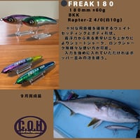 C.O.H / Freak 300-210     フリーク C.O.H / Freak 300-210