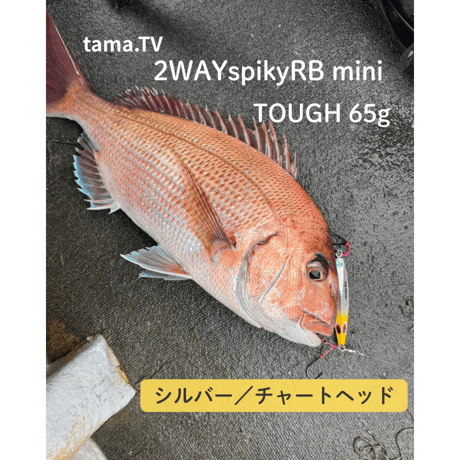 2WAY Spiky Re:BORN miniシリーズ