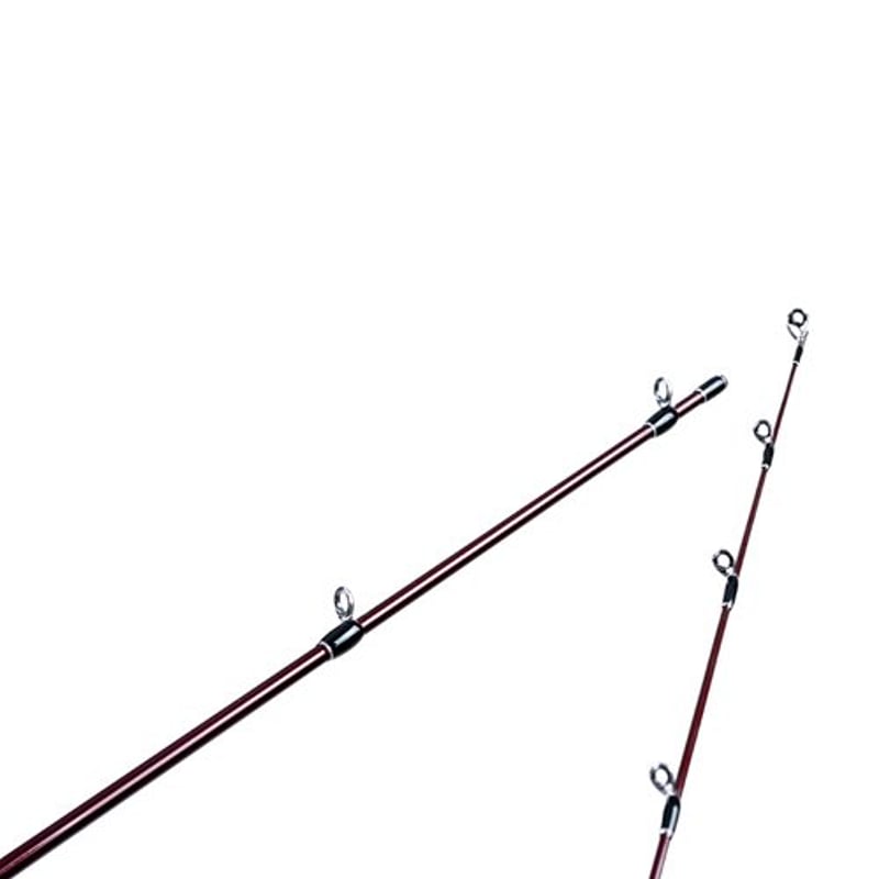 Fishman ブランシエラ3.9 limited Fishman Beams blancsierra 3.9UL LIMITED（ビームス ブラ