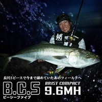 Fishman BC5 9.6MH