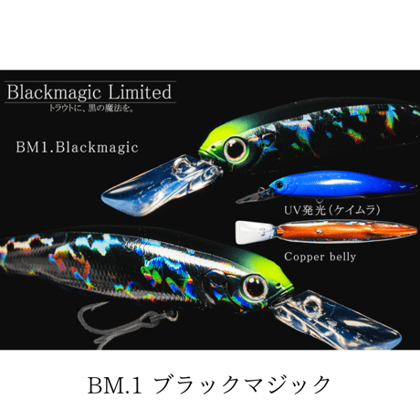 タックルハウス BITSTREAM 限定色【Black Magic Limited Color】