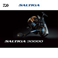ダイワ 25 ソルティガ 25000-P | ますへい STORE