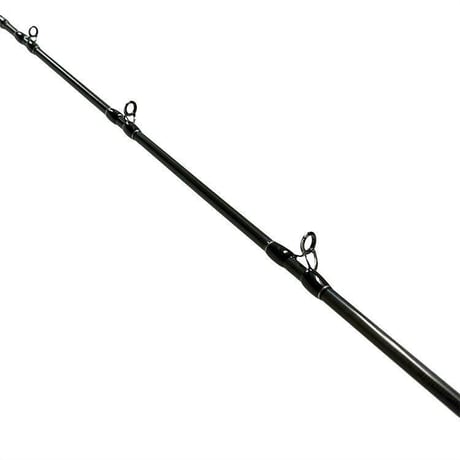 Fishman Beams  blancsierra 4.11L