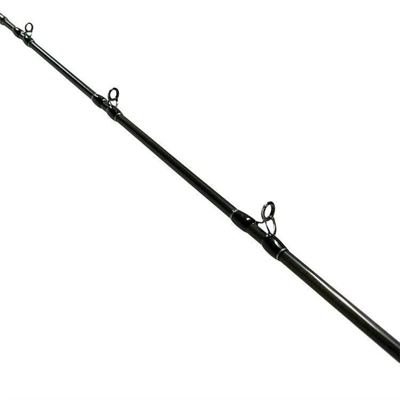 fishman beams sierra ビームスシエラ Fishman Beams blancsierra 4.11L【2025年12月～2026年