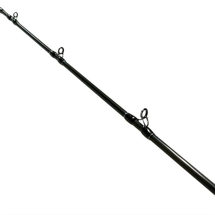 Fishman Beams blancsierra 4.11L【2025年12月～2026年