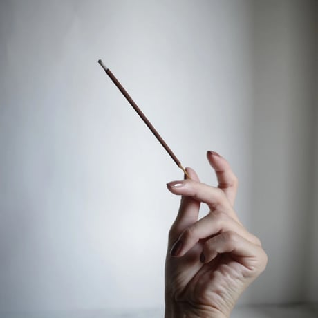 INCENSE STICKS   -  charm