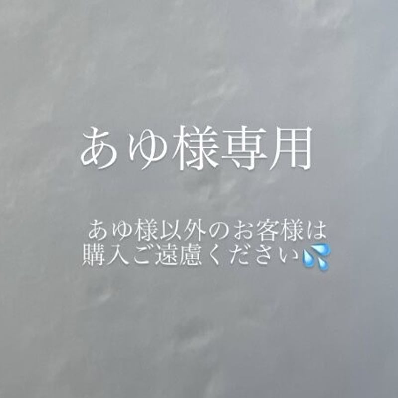 あゆ様専用 ネイルチップ | A.H.NAIL_ STORE