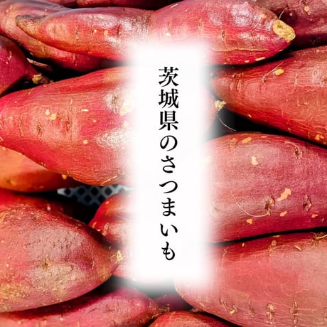 とろ芋(スイートポテト)6個入り