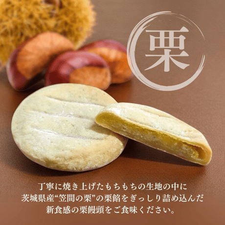 焼き菓子アソートセット (15個入り)
