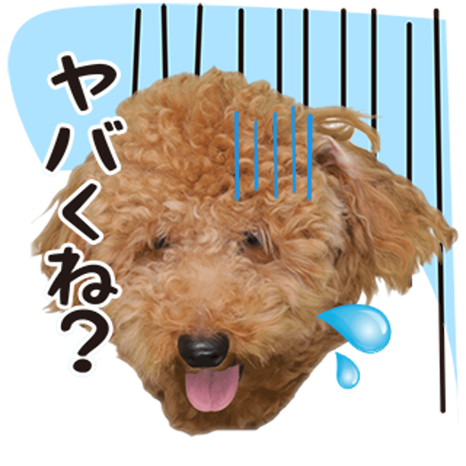 61b734fc7d278d52e027d775