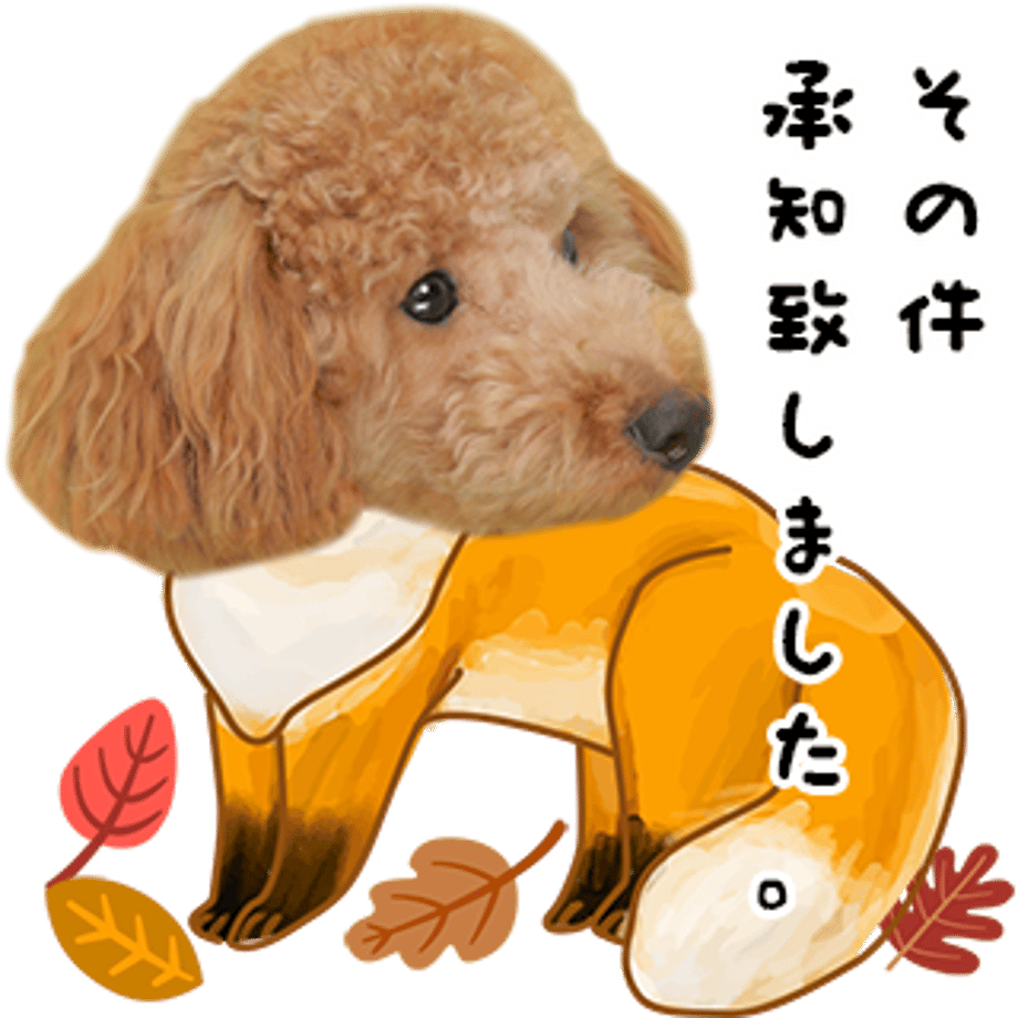637f3e81f3de5c6c8a9d4889