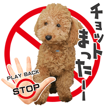 バラエティーセット5