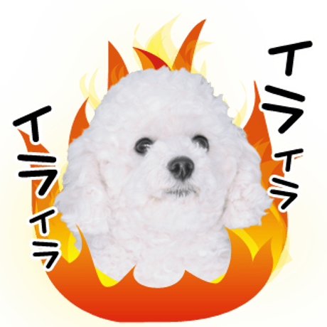 喜怒哀楽セット3