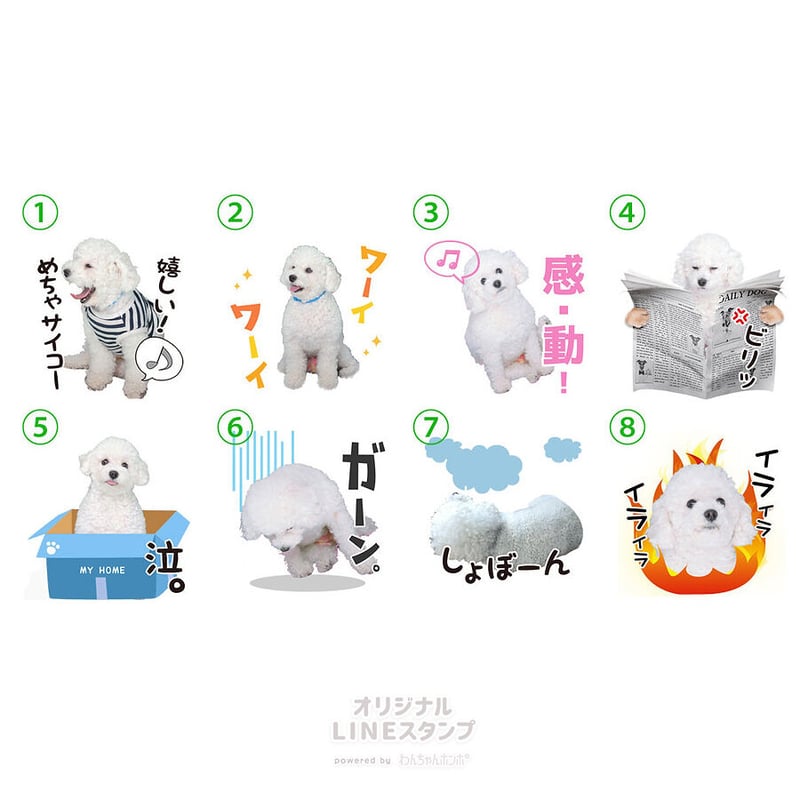 喜怒哀楽セット3 | わんちゃんホンポ-オリジナルLINEスタンプ