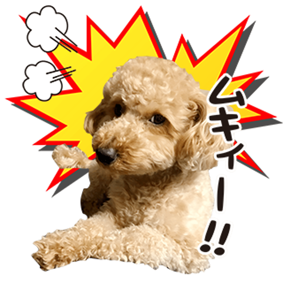 61b734c5b91b757a8e4755a3