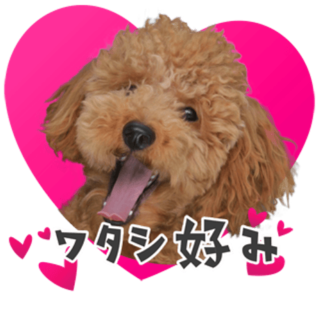 ツンデレセット1