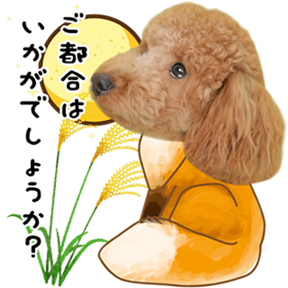 637f3e81f3de5c6c8a9d4889