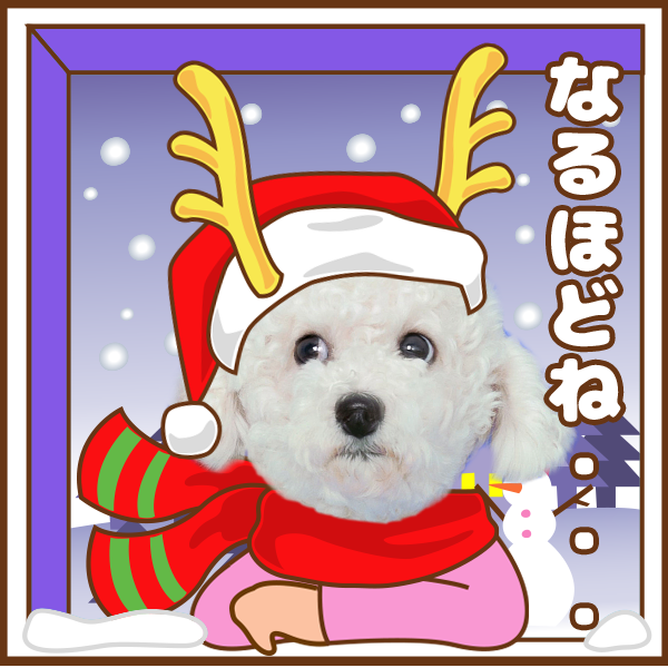 クリスマスセット | わんちゃんホンポ-オリジナルLINEスタンプ