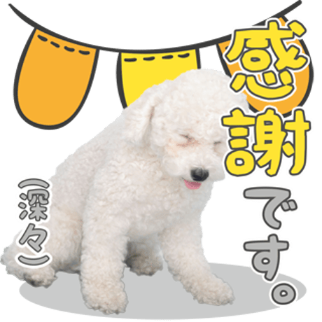 あいさつ丁寧語セット2