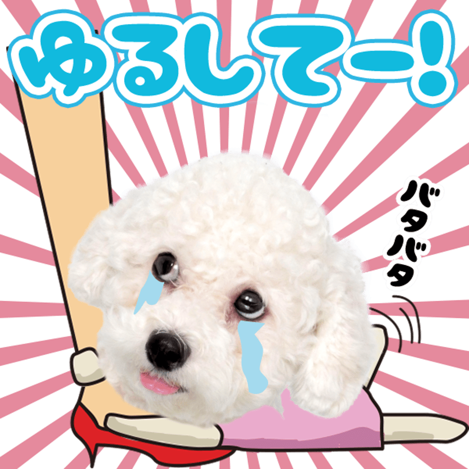 61b735b09eadbe3c59282e44