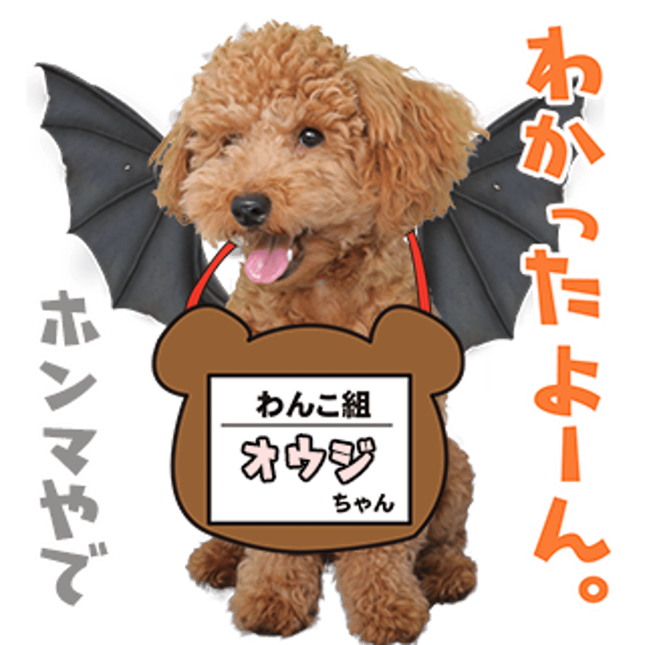 61b73262ecd057482862c74f