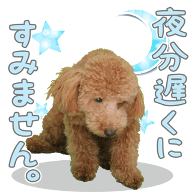 ひおたん@挨拶文不要 フジタ 4ヶ国語対応サインプレート（案内板） Plainデザイン C-IM4