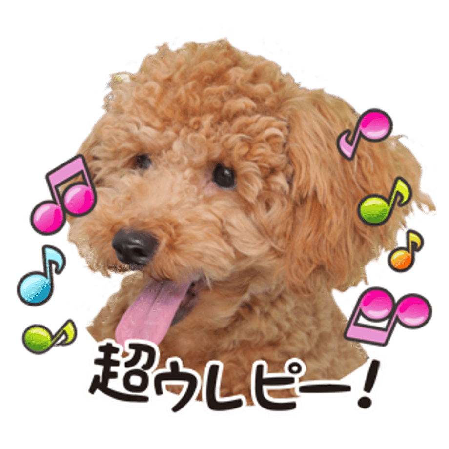61b734c5b91b757a8e4755a3