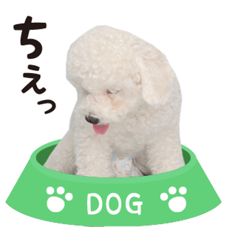 喜怒哀楽セット2