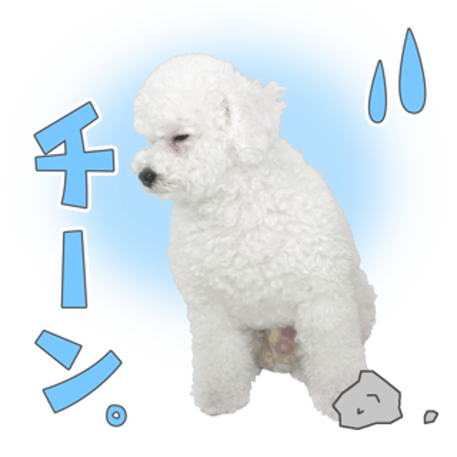 61b73492f6d7c95c840d45d4