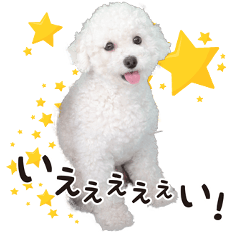 喜怒哀楽セット2
