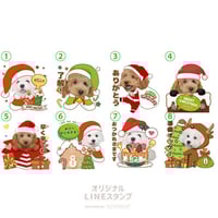 クリスマスセット2023