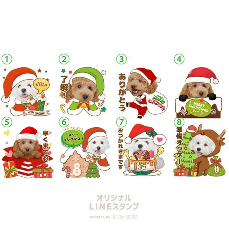 お値下♡未使用　スタンピンアップ　フランス語　猫と犬　クリスマス お値下♡未使用 スタンピンアップ フランス語 猫と犬 クリスマス お値