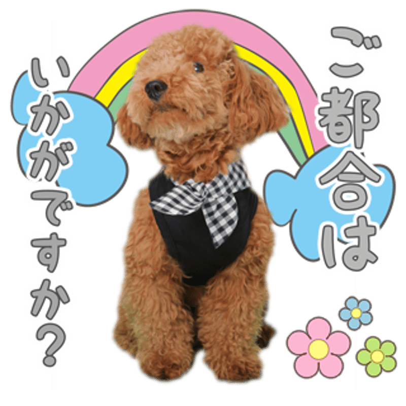 あいさつ丁寧語セット3 | わんちゃんホンポ-オリジナルLINEスタンプ