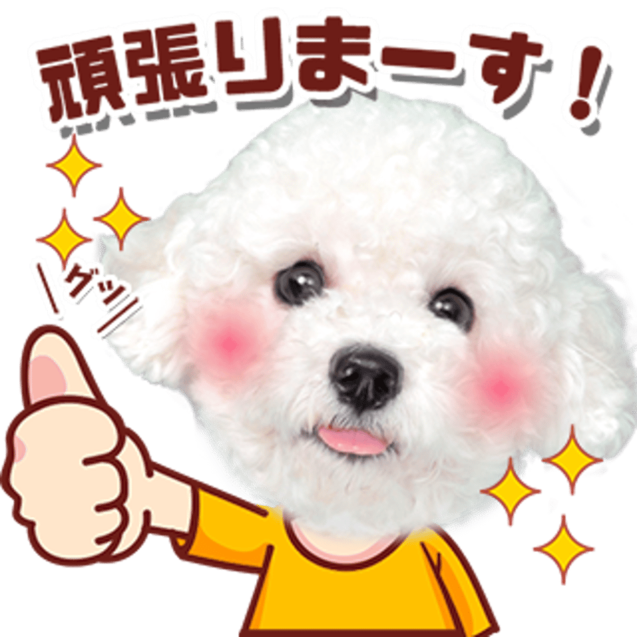 6284857c404e91762f31bb5a