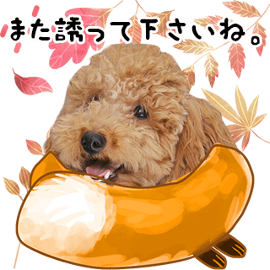 637f3e81f3de5c6c8a9d4889