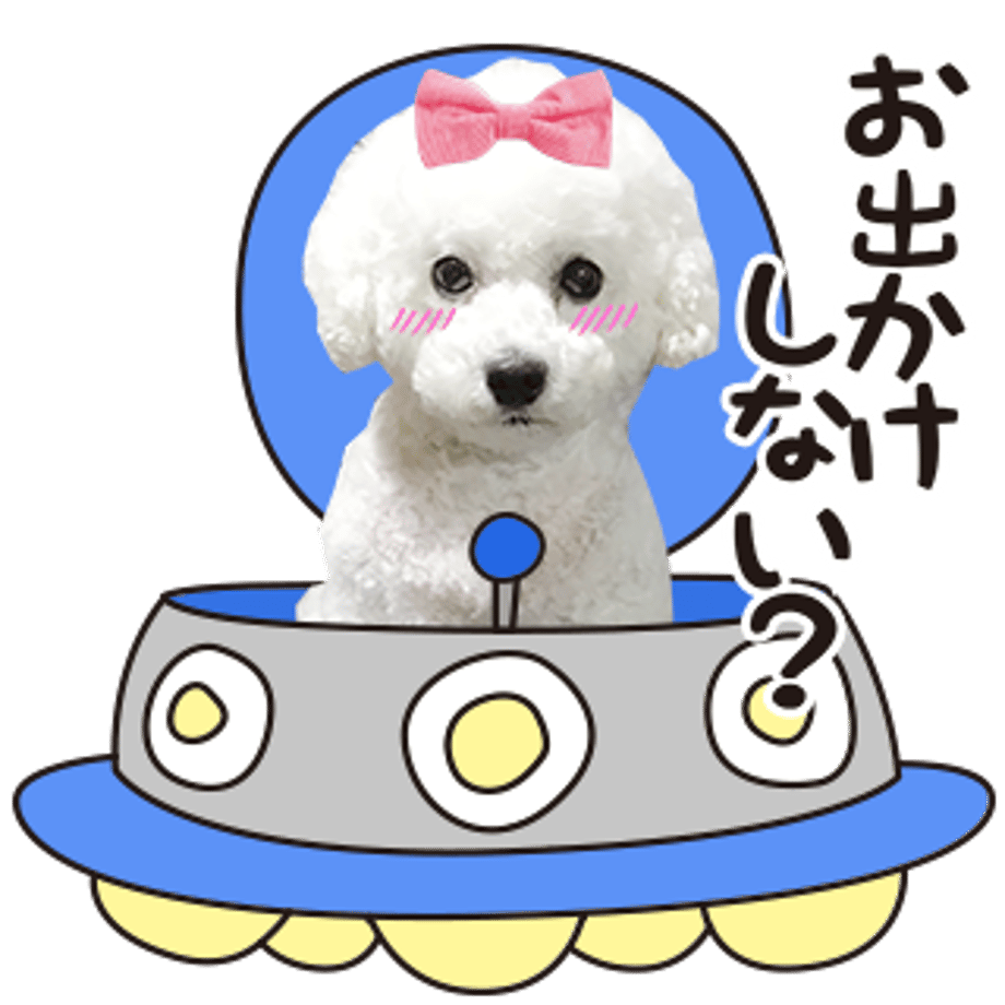 61b73291739891662fe8d77e