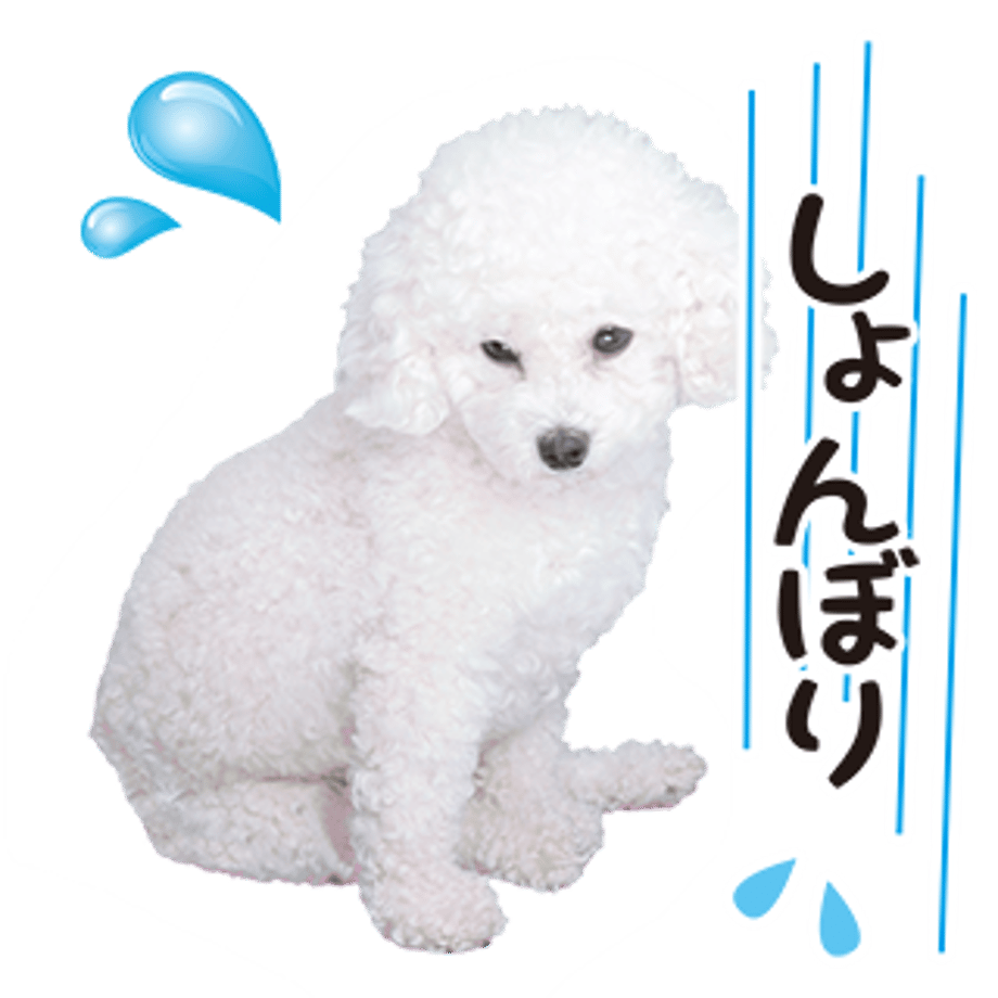 61b73291739891662fe8d77e