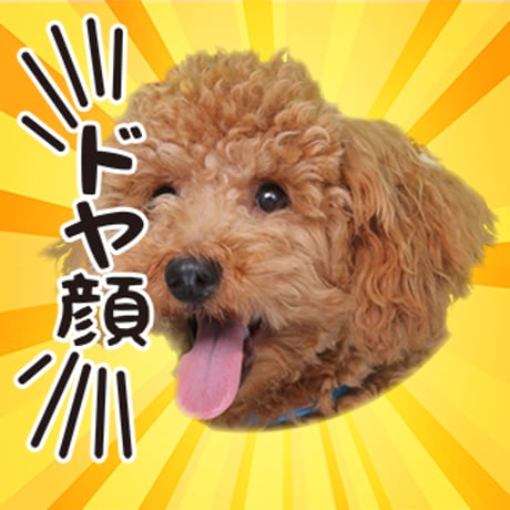 ツンデレセット3